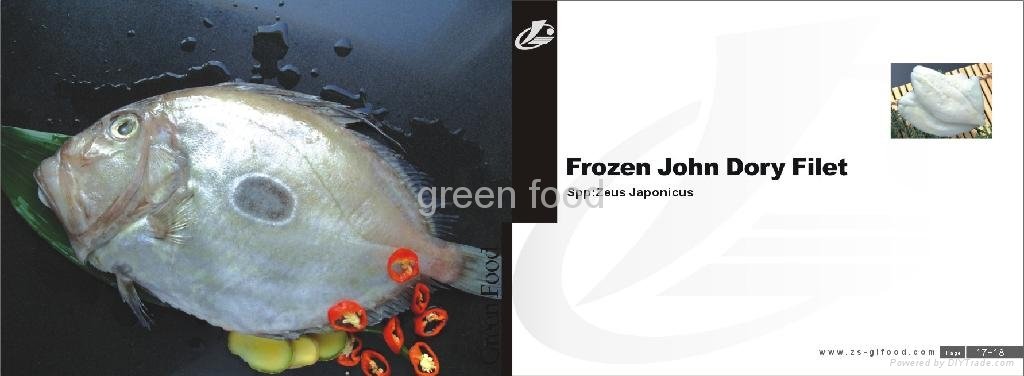Frozen John Dory Filet (Moon fish fillet)
