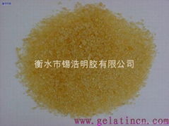 feed gelatin