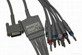 HP one piece 10-lead EKG cable with leadwires 1