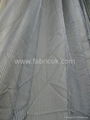 Organza Curtain