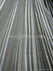 Organza Curtain Fabric