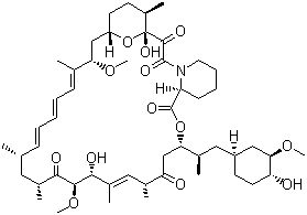 Rapamycin / Cas No. : 53123-88-9