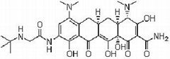 Tigecycline