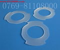 Viton gasket 5