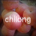 shouguang chilong organic vegetable company