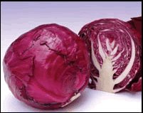 2012 chineses fresh cabbage 2