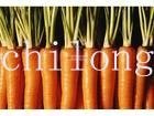 2012 new fresh carrot in carton