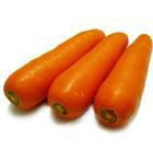 2012 new fresh carrot in carton 2