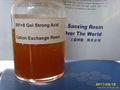 Styrene series Gel Strong Acid