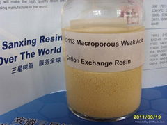 Macroporous Weak Acid Cation Exchange Resin