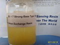 Strong-Base Type I (Gel) Anion Exchange Resin 1