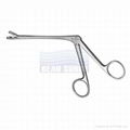 Nasal Cutting Forceps 2