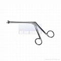 Nasal Cutting Forceps 4