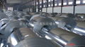 HOT DIPPED GALVANIZED STEEL SHEET IN