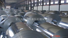 HOT DIPPED GALVANIZED STEEL SHEET IN COILS