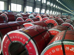 prepainted galvanized steel coils