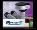 ImagingSource工業相機 1