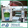 Alkaline Water Ionizer 