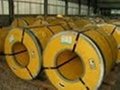 Stainless Steel Coil 202 304 304 310 316 1