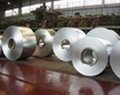 Stainless Steel Coil 202 304 304 310 316 2