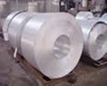 Stainless Steel Coil 202 304 304 310 316 3