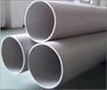Stainless Steel Pipe/Tube 202 304 310 316 1