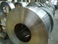 Stainless Steel Coil 202 304 316 310 430 1