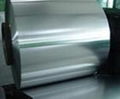 Stainless Steel Coil 202 304 316 310 430 3