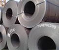 Stainless Steel Coil  304 316 310  2