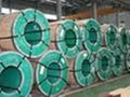 Stainless Steel Coil  304 316 310  4