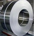 Stainless Steel Coil  （ASTM 200 300 400