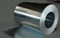 Stainless Steel Coil  （ASTM 200 300 400 Series） 5