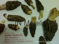 Dried morels