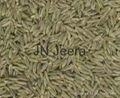 Black Cumin seed