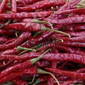 chillies 1