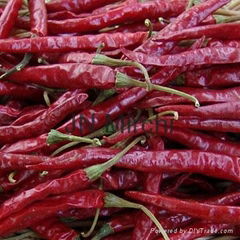 chillies