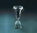 crystal trophy 2