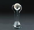 crystal trophy 5