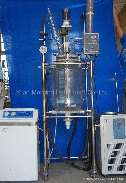 Morgina Qualified Jacketed Laboratory Reactor For Lab and Industries 2
