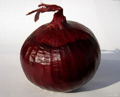 onion