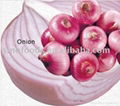 red onion 1