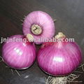 red onion 2