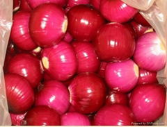 healthty onion