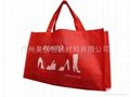 shopping bag & non-woven bag 2