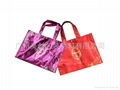 aluminized non-woven bag