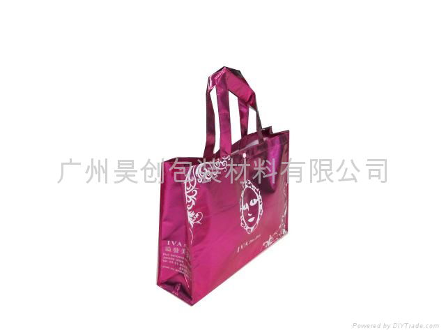 aluminized non-woven bag 2