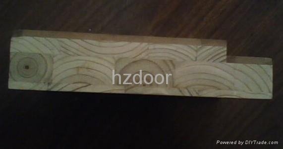 wood skin door 4