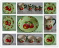 ceramic dinnerware