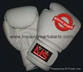 BOXING GLOVES 1