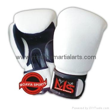 BOXING GLOVES 2